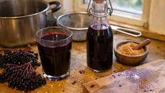 Holundersaft selber machen: aromatisch einkochen und heiß abfüllen – so gelingt’s