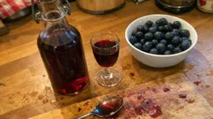 Schlehenlikör mit Gin selbst ansetzen – fruchtig, würzig und ganz einfach